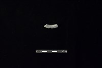 陶環藏品圖，第2張